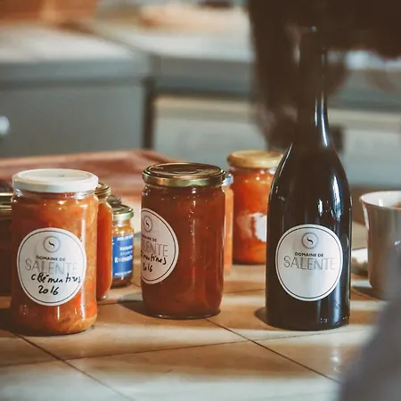 Domaine De Salente Couette-café Gignac (Herault)