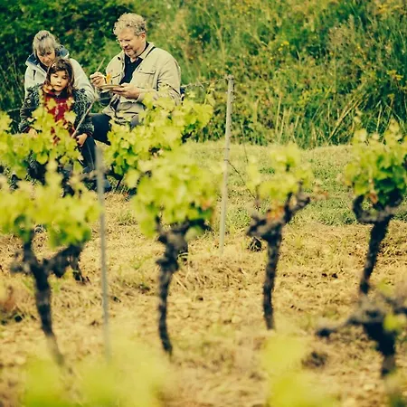 Domaine De Salente Gignac (Herault)