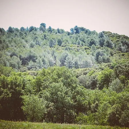 Domaine De Salente Bed & Breakfast *