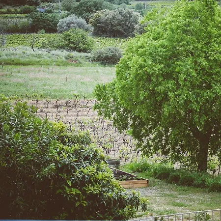 Bed & Breakfast Domaine De Salente
